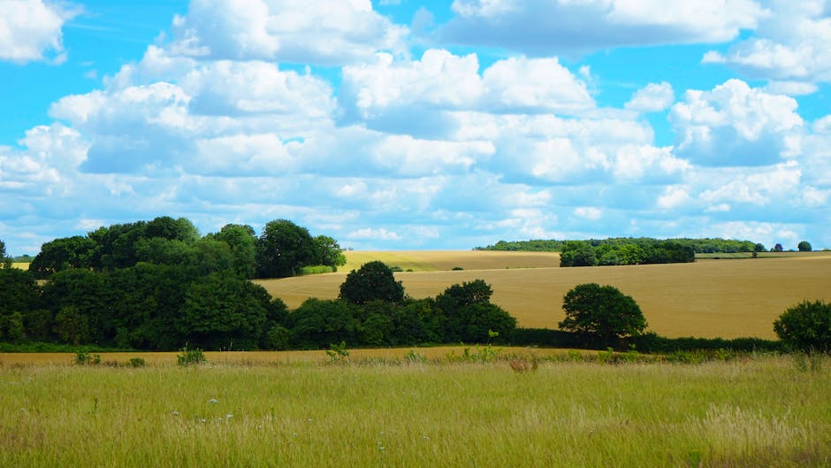 Campagna inglese con campi e alberi sotto un cielo con nuvole